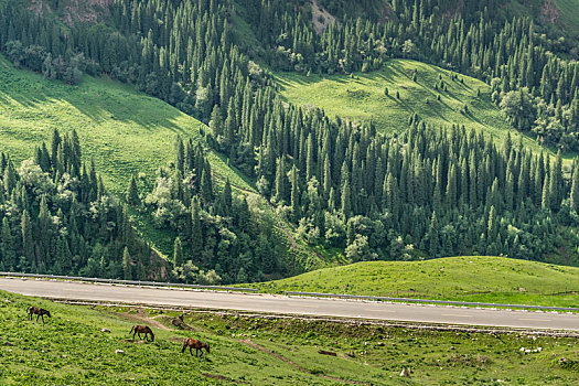 中国新疆夏季蓝天白云下g217独库公路沿途高原森林盘山道