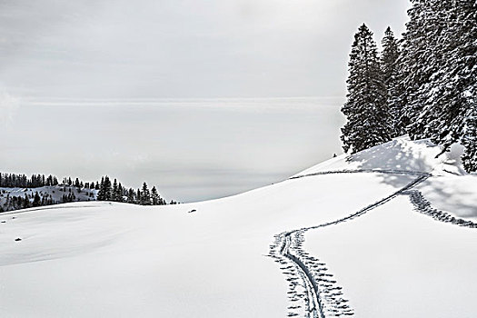 风景,积雪,山,德国