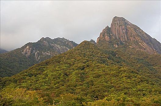 山,九州,日本