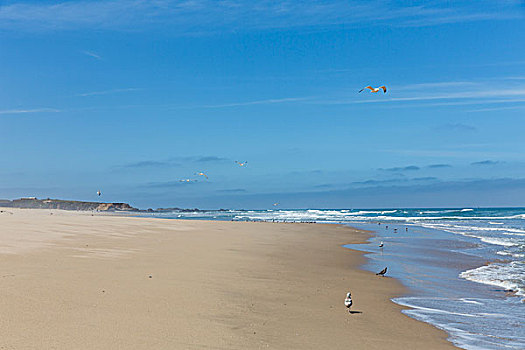 沙滩,1号公路,加利福尼亚州,路线,加利福尼亚,美国
