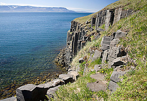 玄武岩,柱子,海岸,冰岛,欧洲