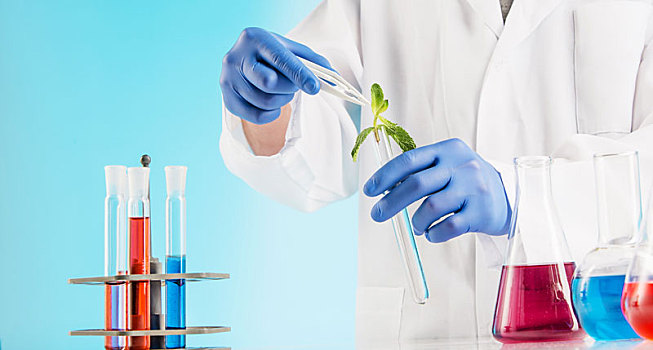 植物,科学,实验室