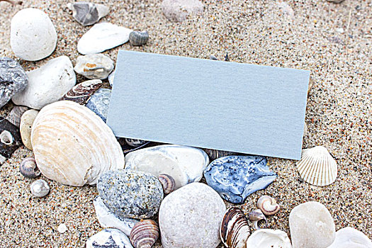 蓝色,卡片,海螺壳,石头,沙滩
