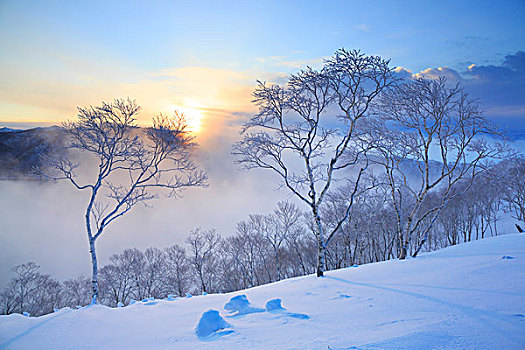 湖,雾气,晨光,北海道