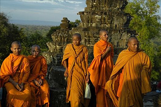五个,和尚,橙色,长袍,庙宇,吴哥,收获,柬埔寨,东南亚