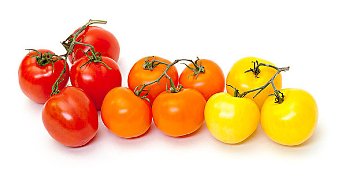 彩色,成熟,新鲜,西红柿