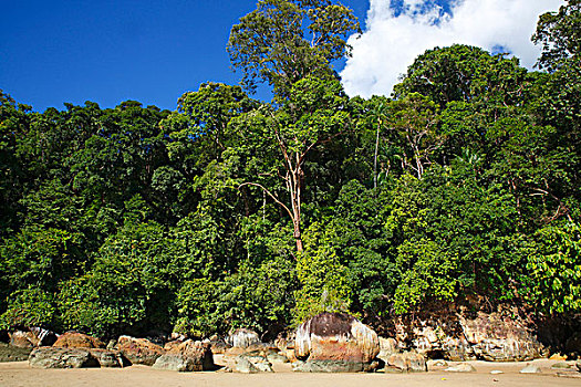 海滩,石头,雨林,海岸,沙捞越,婆罗洲,马来西亚,亚洲