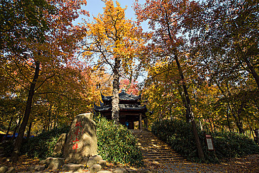 苏州天平山