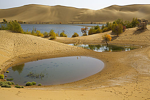 沙漠与湖水