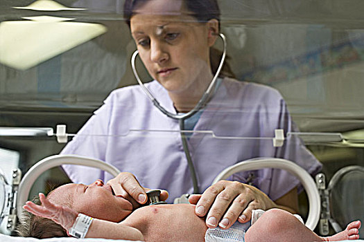 护理,检查,诞生,早产儿保育器