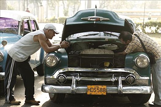 男人,检查,老爷车,打开,引擎盖,哈瓦那,古巴,中美洲