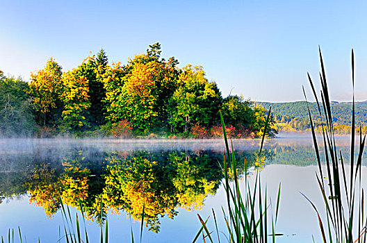 秋色,反射,树,湖,靠近,鹅卵石,山