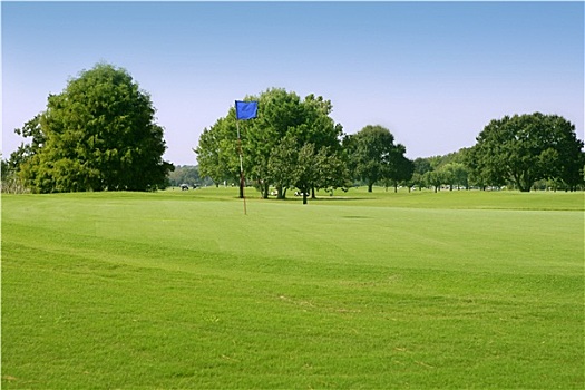 高尔夫球场,草,运动,地点