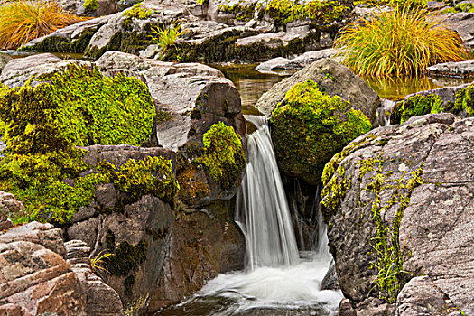秋天,小,瀑布,汽船,溪流,尤姆瓦国家森林公园,俄勒冈,美国