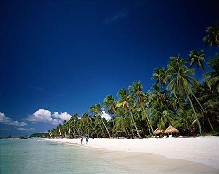 棕榈树,沙子,长滩岛,菲律宾