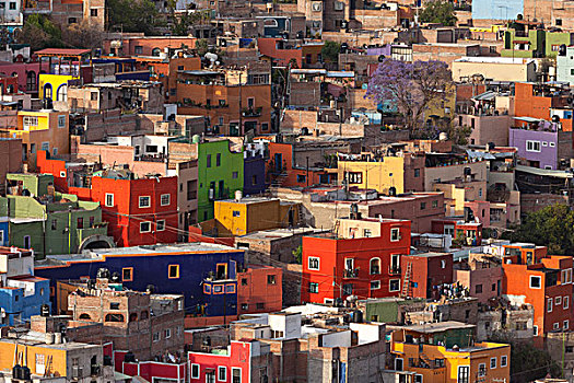墨西哥,瓜纳华托,彩色,家,线条,街道,山,城镇