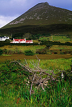 阿基尔岛,爱尔兰,房子,山,靠近