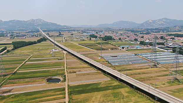 山东省日照市,万亩小麦青黄相间,风吹麦浪呈现丰收景象