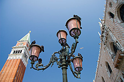 路灯,钟楼,威尼斯,威尼托,意大利,欧洲