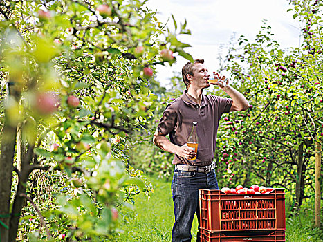 农民,喝,苹果汁,果园