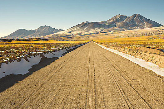 道路,高原,高度,上方,阿塔卡馬沙漠,智利
