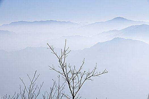 浙江,新昌