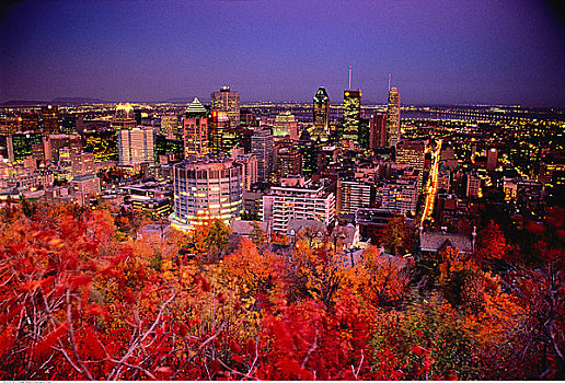 城市天际线,夜晚,蒙特利尔,魁北克,加拿大