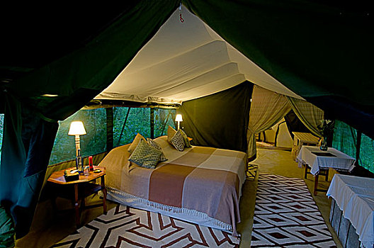 露营,马赛马拉国家保护区,肯尼亚,非洲