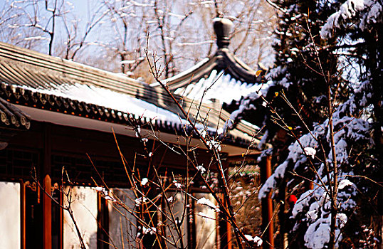 地坛公园雪景