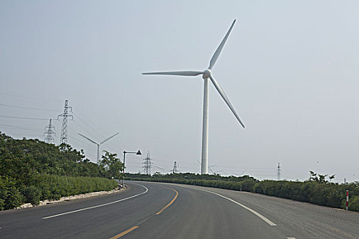 道路,公路,交通,行道树,风力发电机,能源,环保,风车