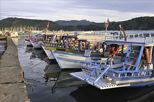 渔船,码头,帕拉蒂,里约热内卢,巴西,南美