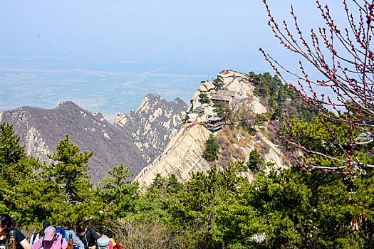 华山春日盛景