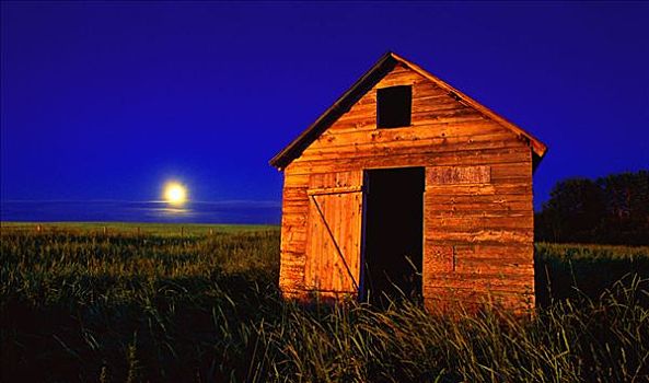 谷仓,日落,靠近,赤鹿,艾伯塔省,加拿大