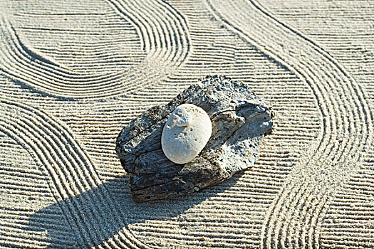 石头,一堆,上面,浮木,沙子