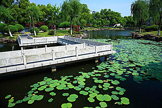 浙江宁波月湖公园