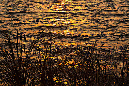 夕阳下的滴水湖