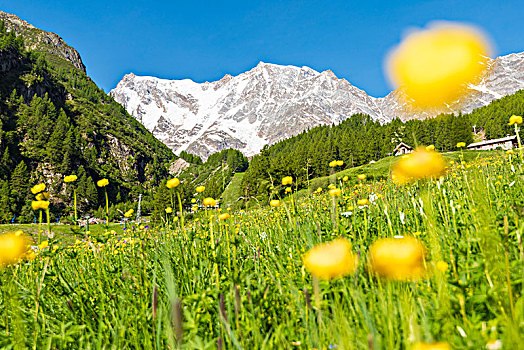 蒙特卡罗,粉色,风景,阿尔卑斯山,意大利阿尔卑斯山,意大利