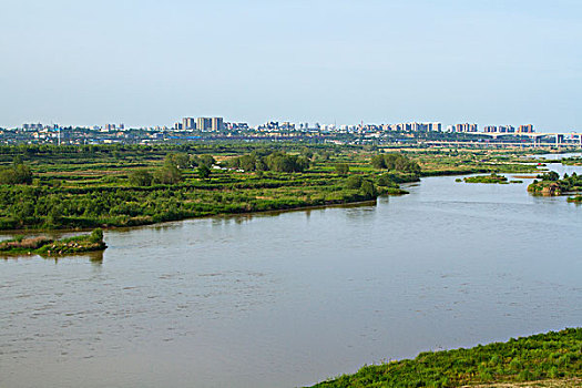 渭河湿地