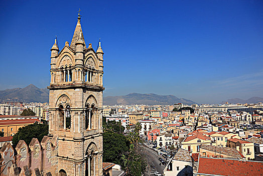 风景,屋顶,大教堂,玛丽亚,城市,巴勒莫,西西里,意大利,欧洲