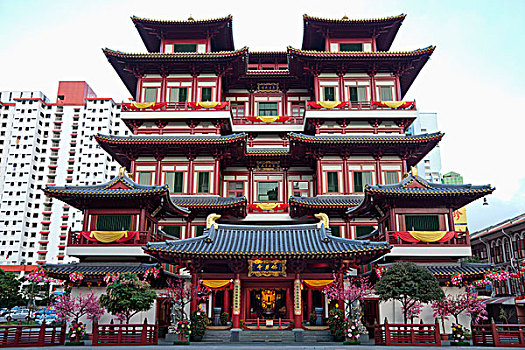 新加坡,唐人街,佛,牙齿,古物,庙宇