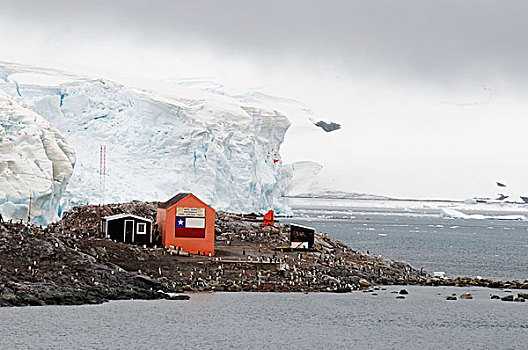 建筑,围绕,企鹅,南极