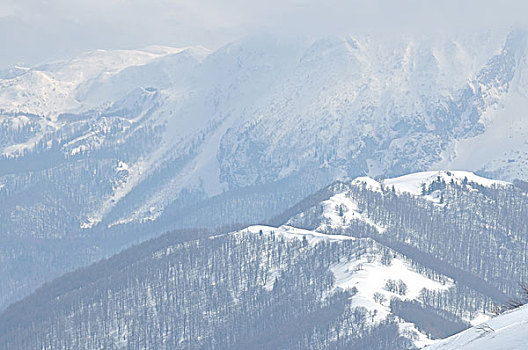 漂亮,冬天,风景,冰,雪,风