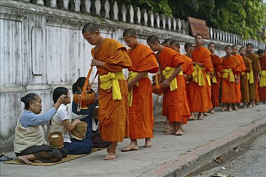 僧侣,新信徒,请求,食物,琅勃拉邦,老挝