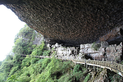 重庆南川,雨中金佛山云端栈道,与云雾起舞如仙如境