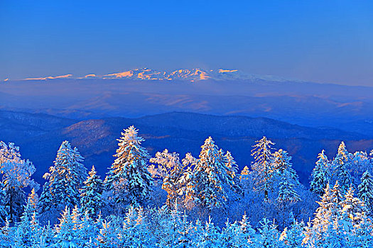 吉林省仙峰国家森林公园远眺长白山