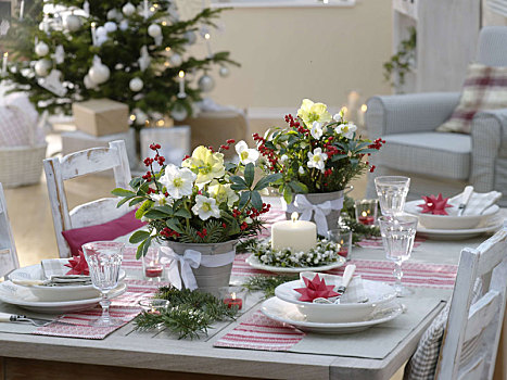 圣诞桌,装饰,黑嚏根草,冬青属