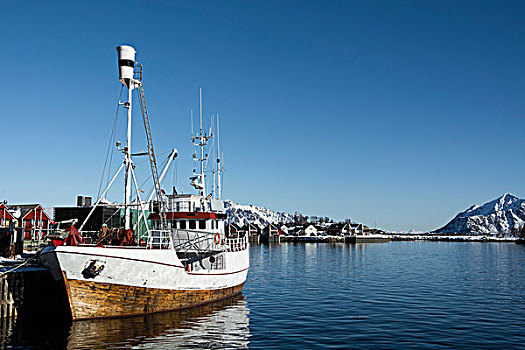 渔船,港口,罗浮敦群岛,挪威