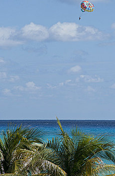 帆伞运动,上方,加勒比海