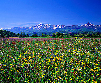 法国,风景,山峦