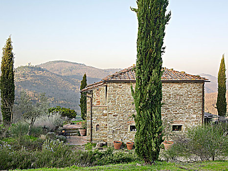 石头房子,随着,瓦屋顶,柏树,丘陵的背景,瓦尔狄网,托斯卡纳,意大利
